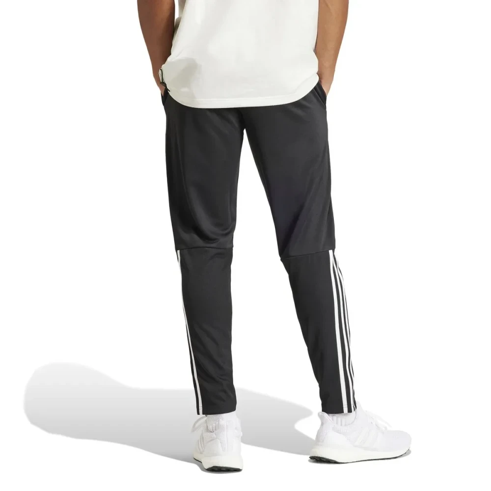 Pantalon de survêtement Homme M SERENO